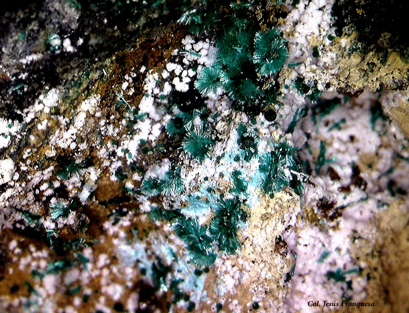 Smithsonita (variedad cobaltífera) y Brochantita.
4´13 x 3´62 mm.
(Autor: Jesus Franquesa Baucells)