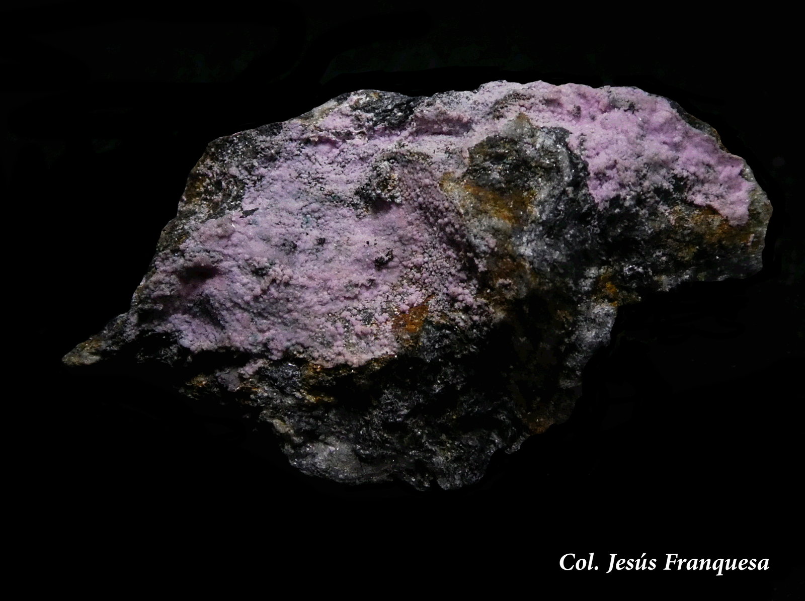 Smithsonita (variedad smithsonita cobaltífera)
35x18 mm.
(Autor: Jesus Franquesa Baucells)