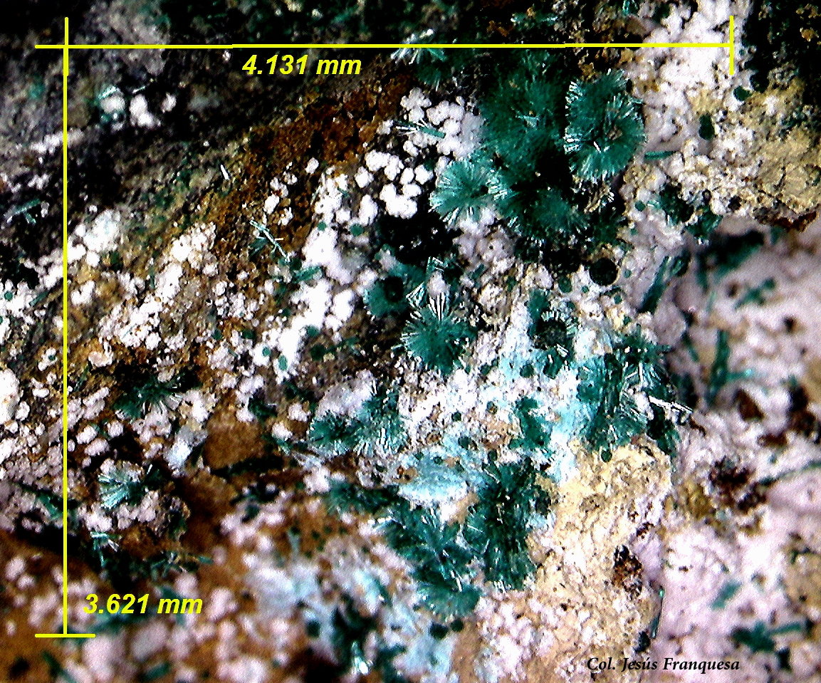 Smithsonita (variedad cobaltífera) y Brochantita.
4´13 x 3´62 mm.
(Autor: Jesus Franquesa Baucells)