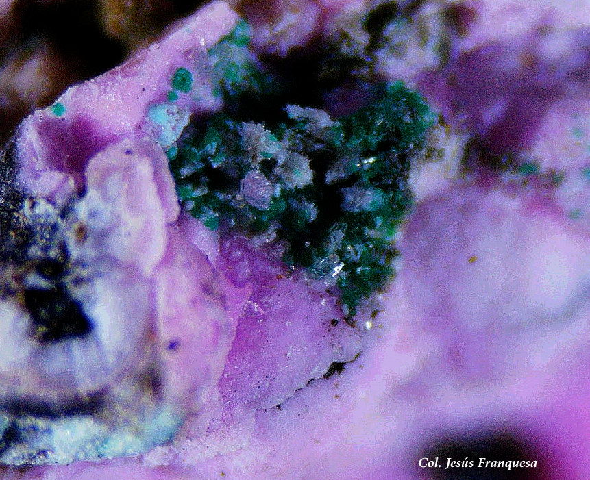 Smithsonita (variedad cobaltífera) y Mahnertita.
4 Fvo.
(Autor: Jesus Franquesa Baucells)