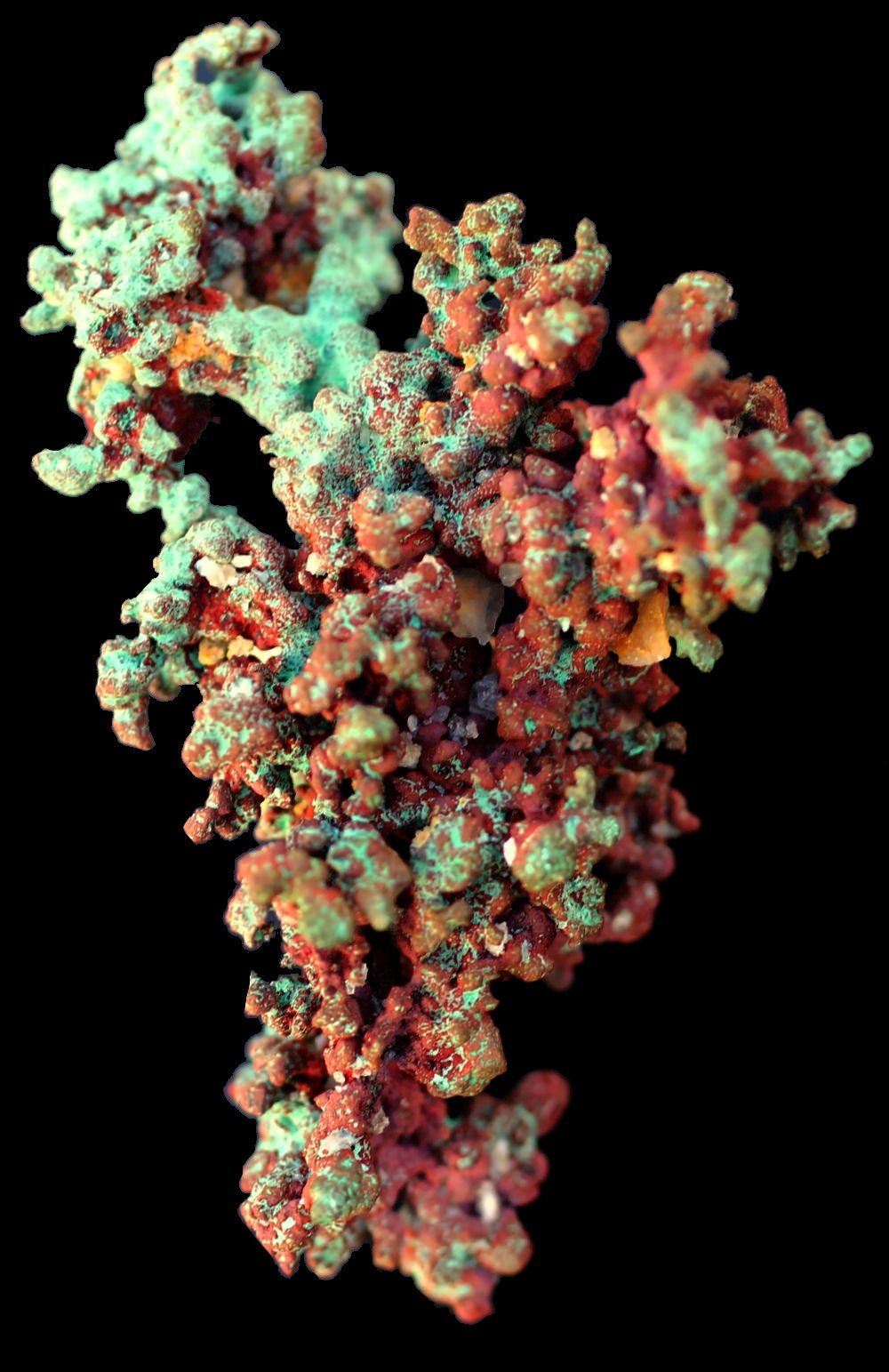 Cobre
62 x 35 x 25 mm.
(Autor: José Luis Zamora)