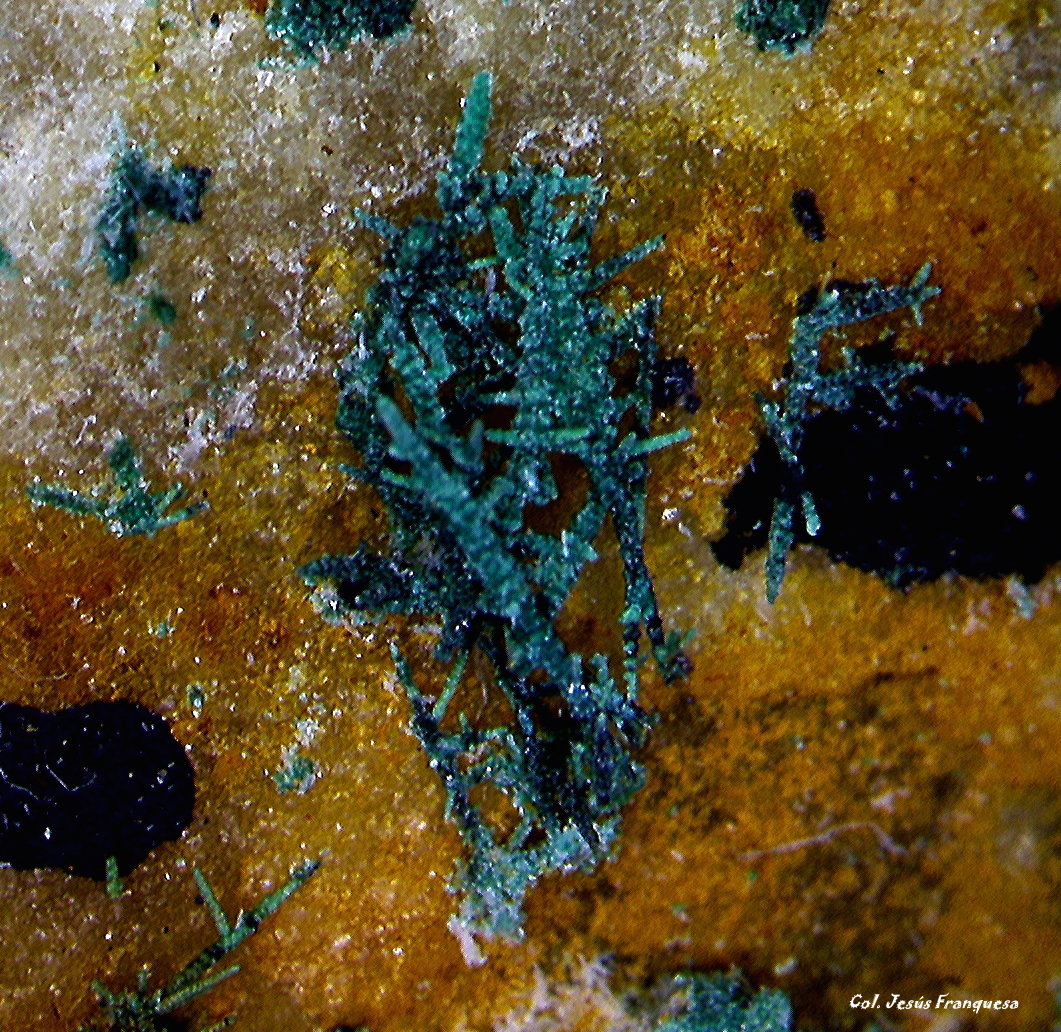 Cobre
4´328 x 2´116 mm.
(Autor: Jesus Franquesa Baucells)