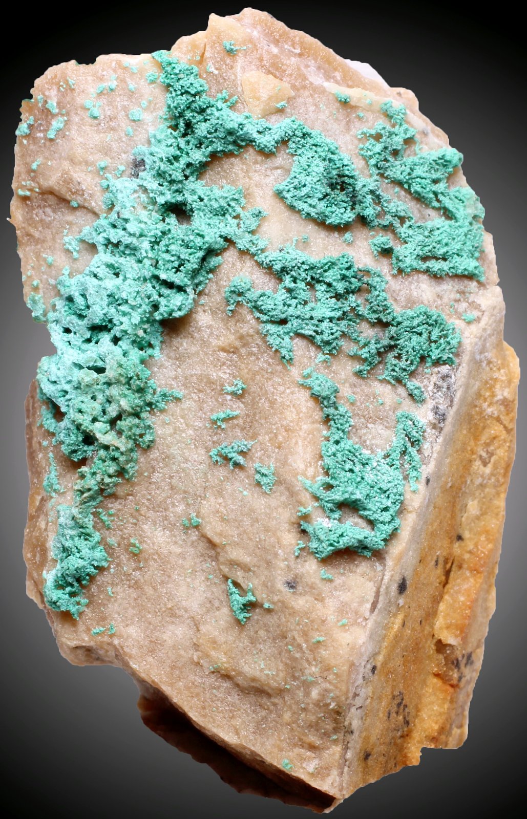 Cobre pseudomalaquita
38 x 21 x 15 mm.
(Autor: José Luis Zamora)