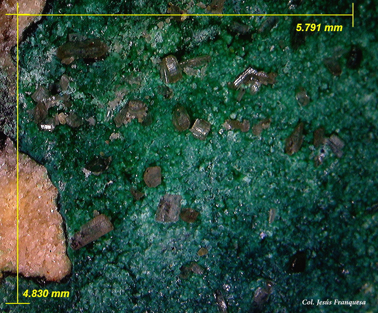 Cobre pseudo. de Malaquita y Cerusita.
5´79 x 4´83 mm.
(Autor: Jesus Franquesa Baucells)