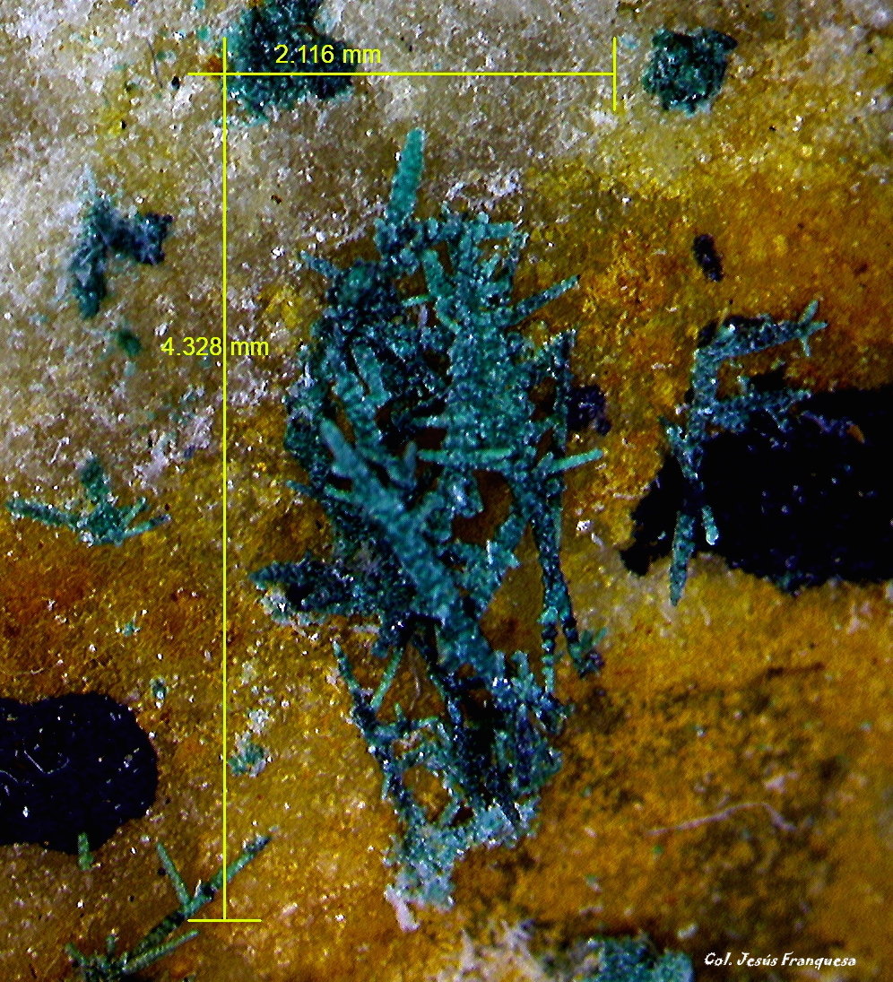 Cobre
4´328 x 2´116 mm.
(Autor: Jesus Franquesa Baucells)
