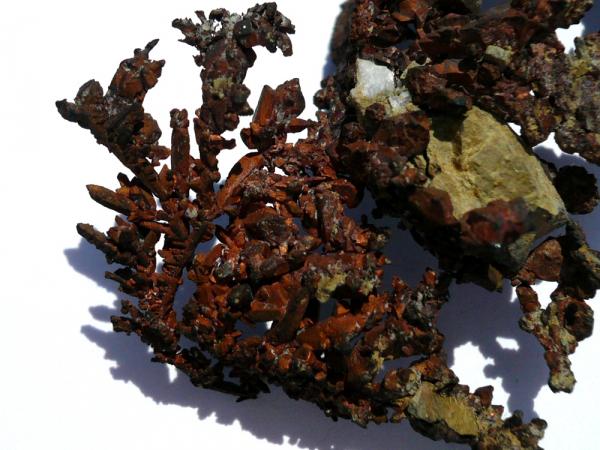 Cobre
8 x 4 cm.
(Autor: nerofis2)