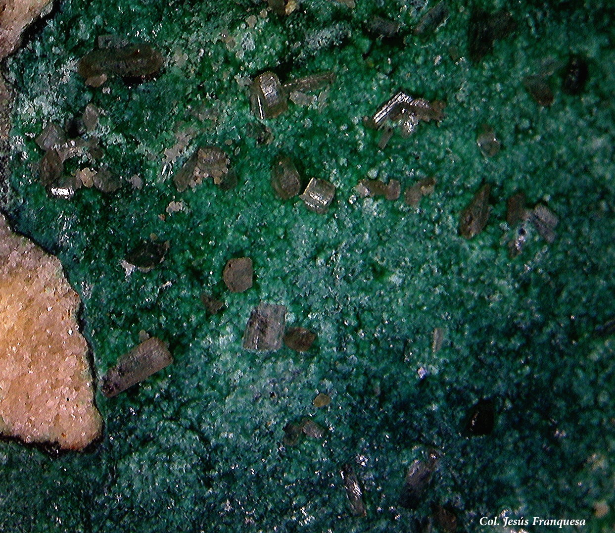 Cobre pseudo. de Malaquita y Cerusita.
5´79 x 4´83 mm.
(Autor: Jesus Franquesa Baucells)