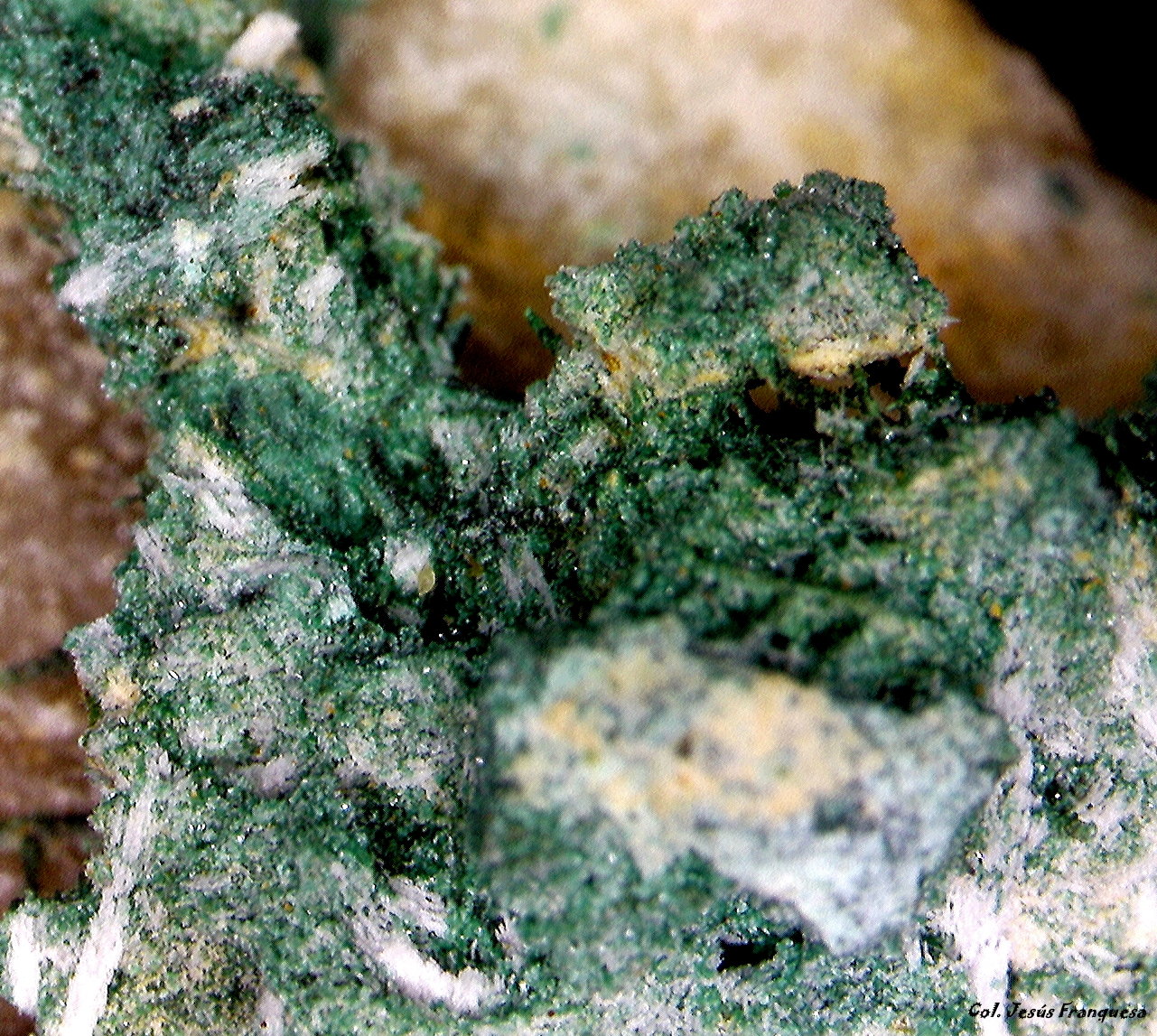 Cobre.
5´811 x 4´687 mm.
(Autor: Jesus Franquesa Baucells)