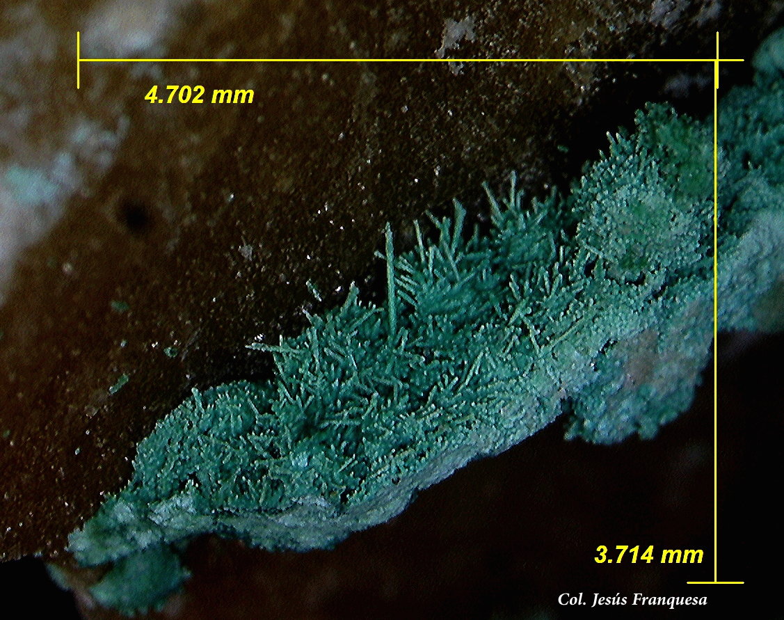 Cobre pseudomórfico de Malaquita.
4´70x 3´71 mm.
(Autor: Jesus Franquesa Baucells)