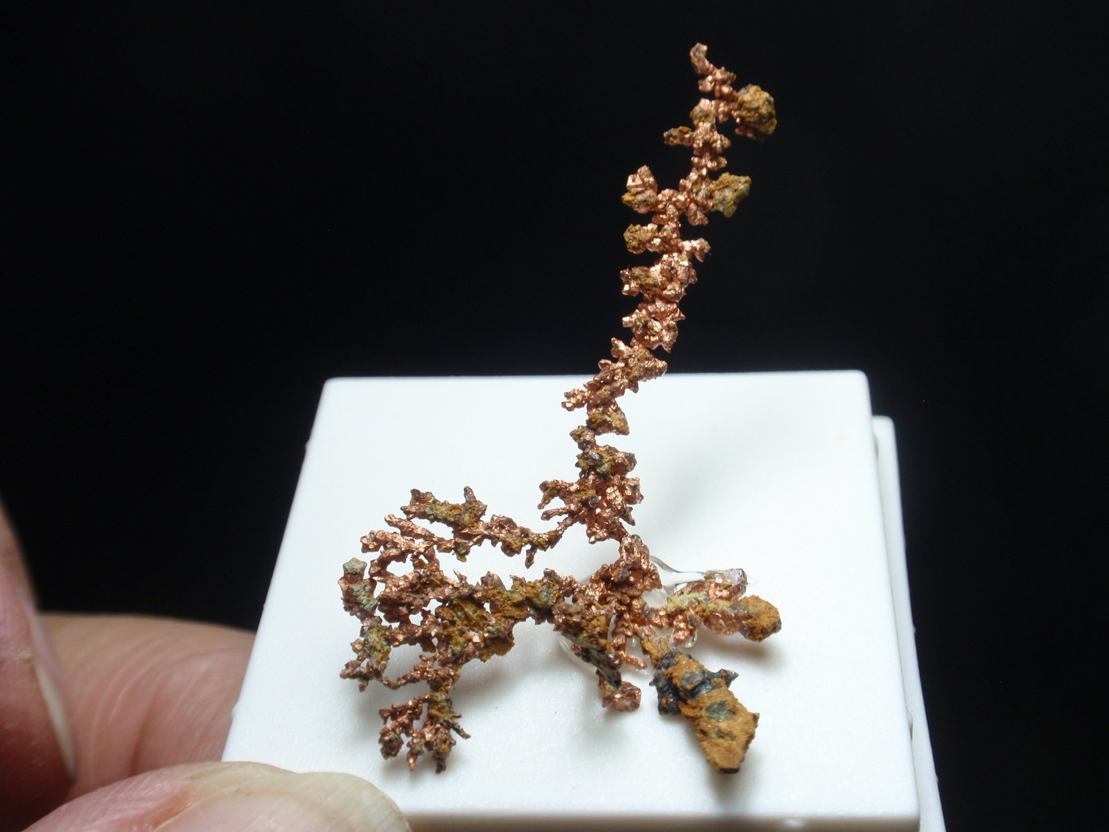Cobre
25x40 mm
(Autor: Ignacio)