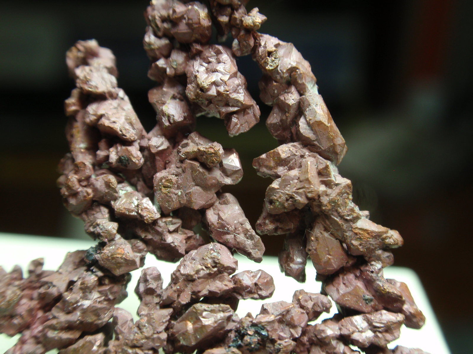Cobre<br />{LOCALITAT}