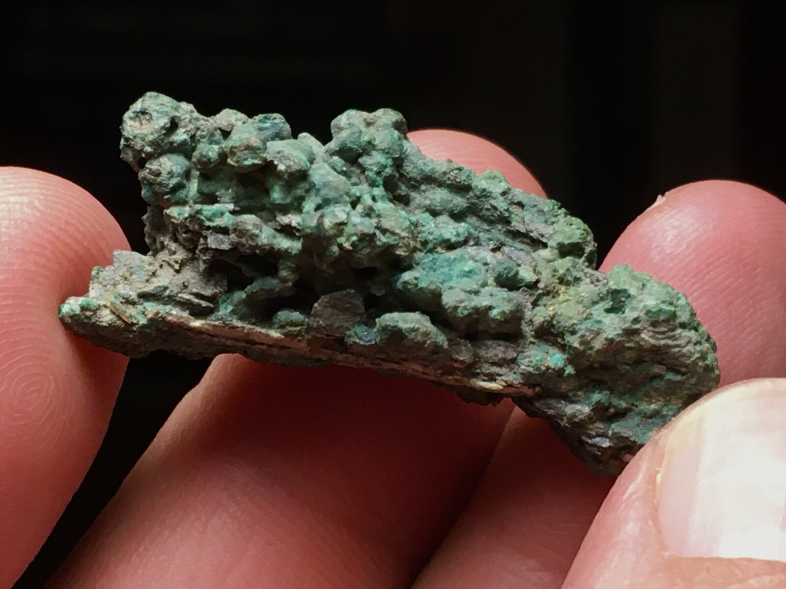 Cobre
Santa Primitiva Mine, Nogalte, Lorca, Comarca Alto Guadalentín, Region of Murcia (Murcia), Spain
4 cm largo
(Autor: Matias Raja)