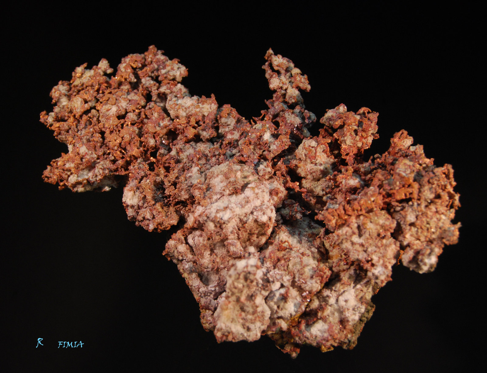 Cobre
4 x 3 cm
(Autor: Ricardo Fimia)