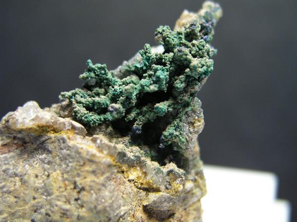 Cobre (malaquitizado)
Pieza de 6 x 4 cm.
(Autor: Adrian Pesudo)