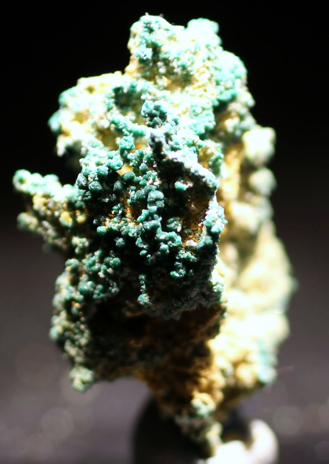Cobre, Pseudomalaquita
22 x 12 x 9 mm.
(Autor: José Luis Zamora)