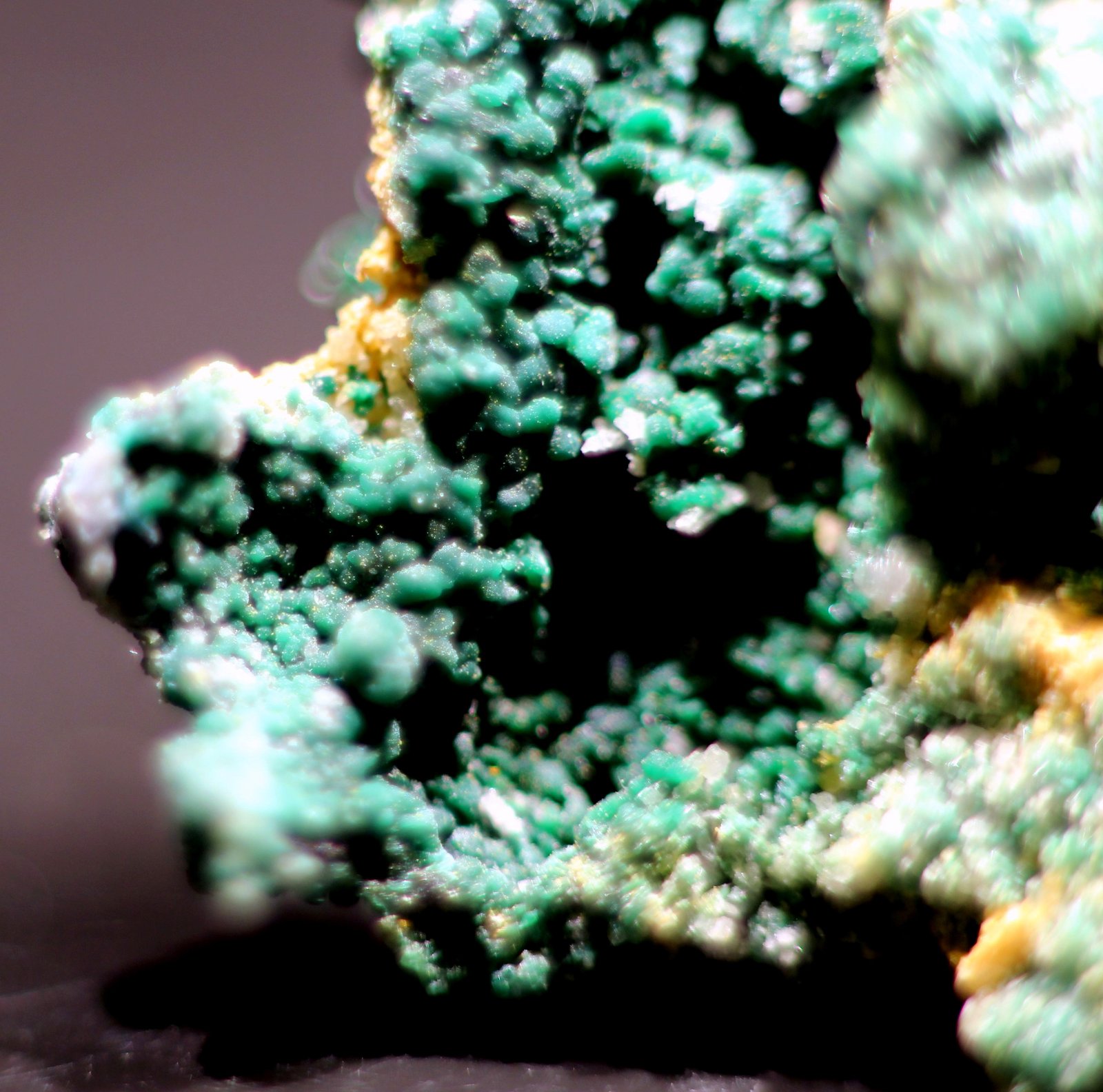 Cobre, Pseudomalaquita
22 x 12 x 9 mm.
(Autor: José Luis Zamora)