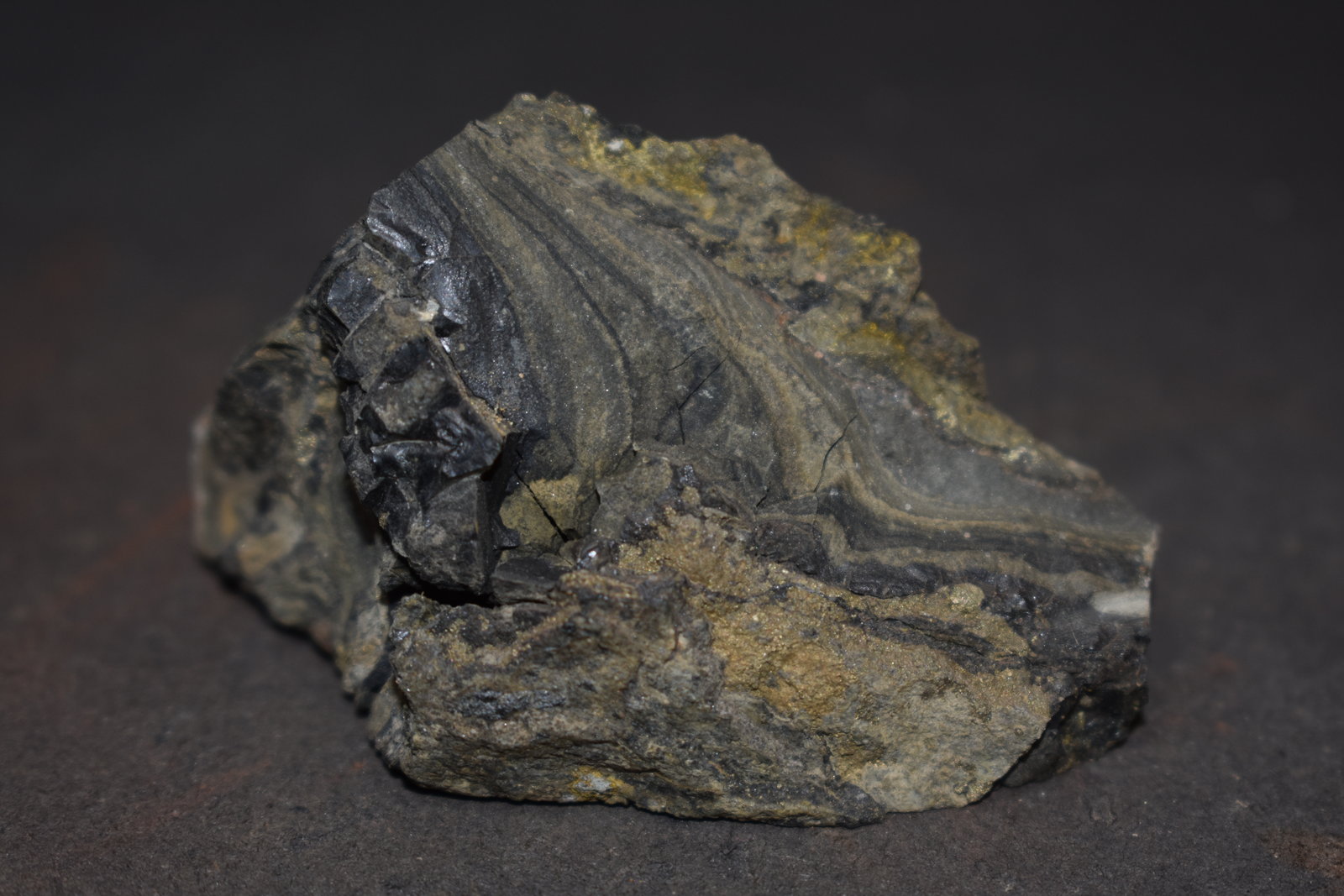Coffinita
55 x 40
(Autor: Joaquin Blanco Cortina)