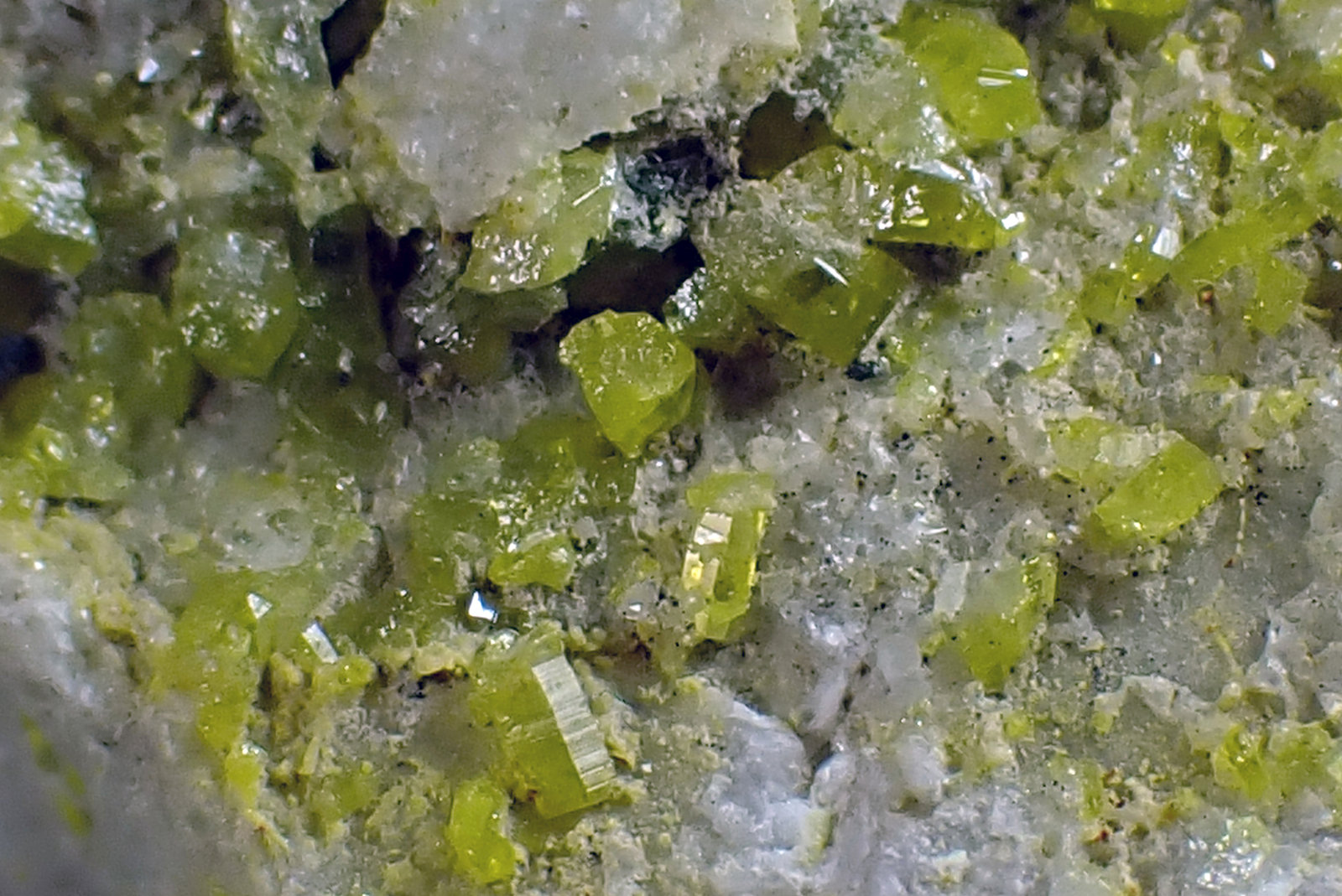 Piromorfita
Medida: 5,6 x 4,7 x 2,5 cms
(Autor: Joan Martinez Bruguera)