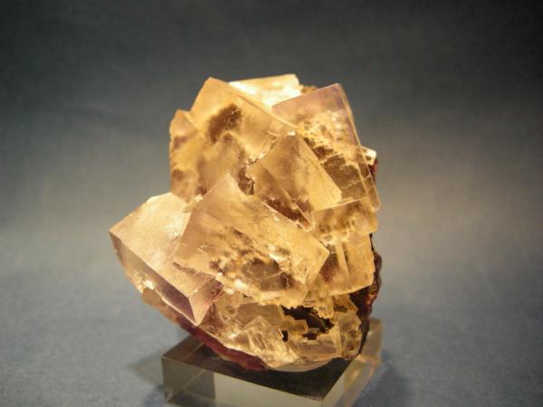 (Autor: Diego Navarro)