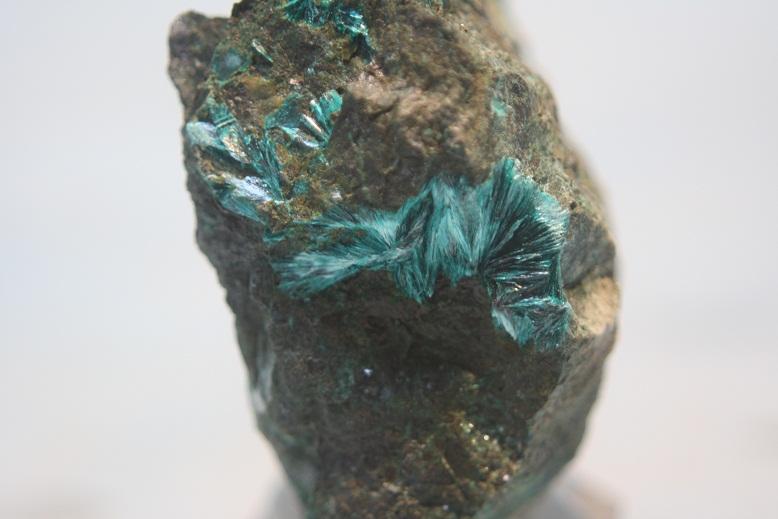 Tirolita
5 x 4 cm.
(Autor: minero1968)