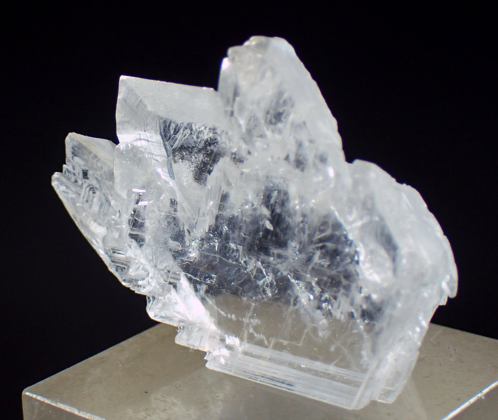 Yeso
Medida: 3,5 x 2,8 x 1,0 cms
(Autor: Joan Martinez Bruguera)