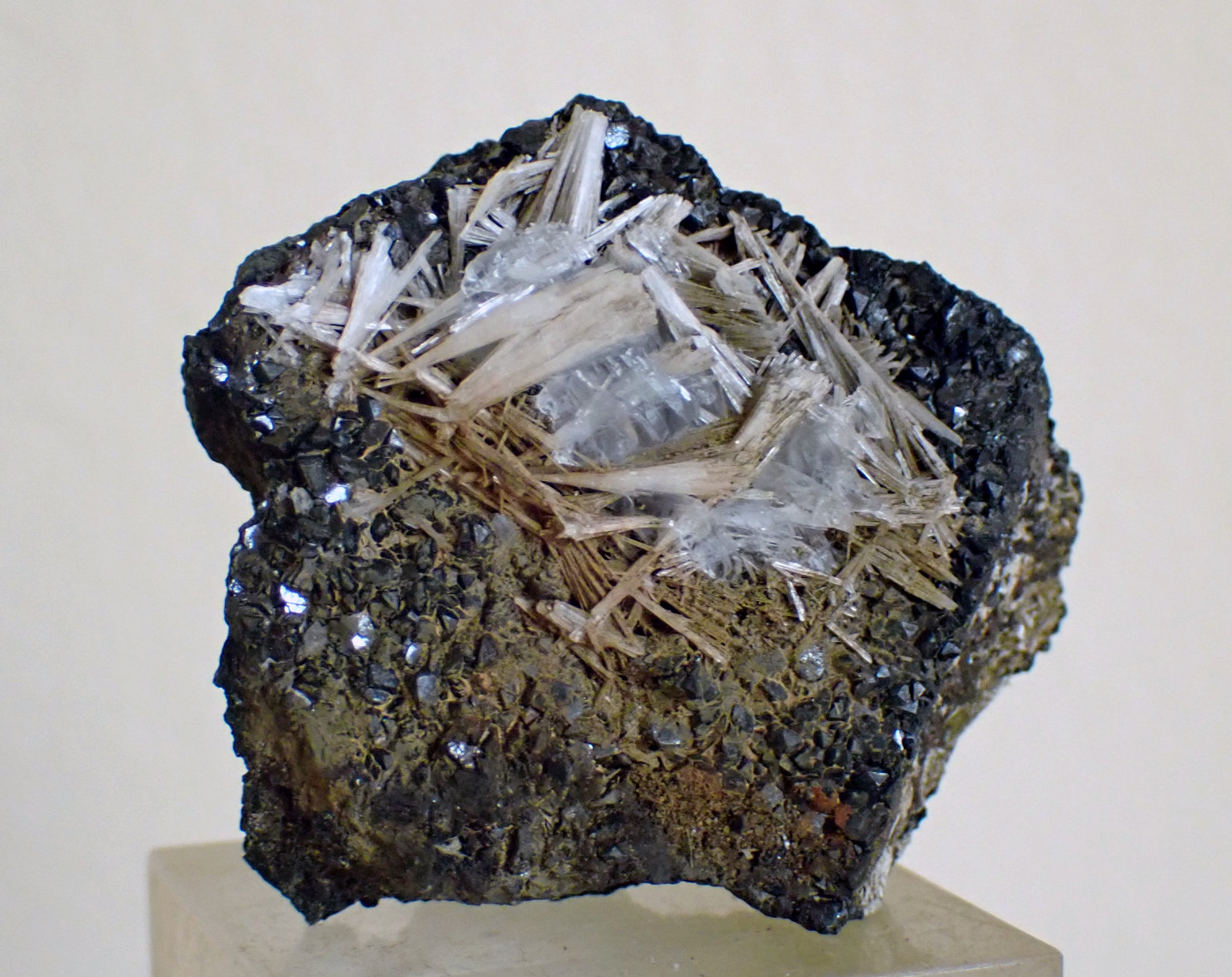 Celestina, Yeso, Siderita y Goethita
Medida: 3,8 x 3,4 x 1,5 cms
(Autor: Joan Martinez Bruguera)