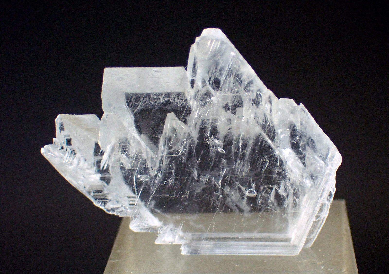 Yeso
Medida: 3,5 x 2,8 x 1,0 cms
(Autor: Joan Martinez Bruguera)