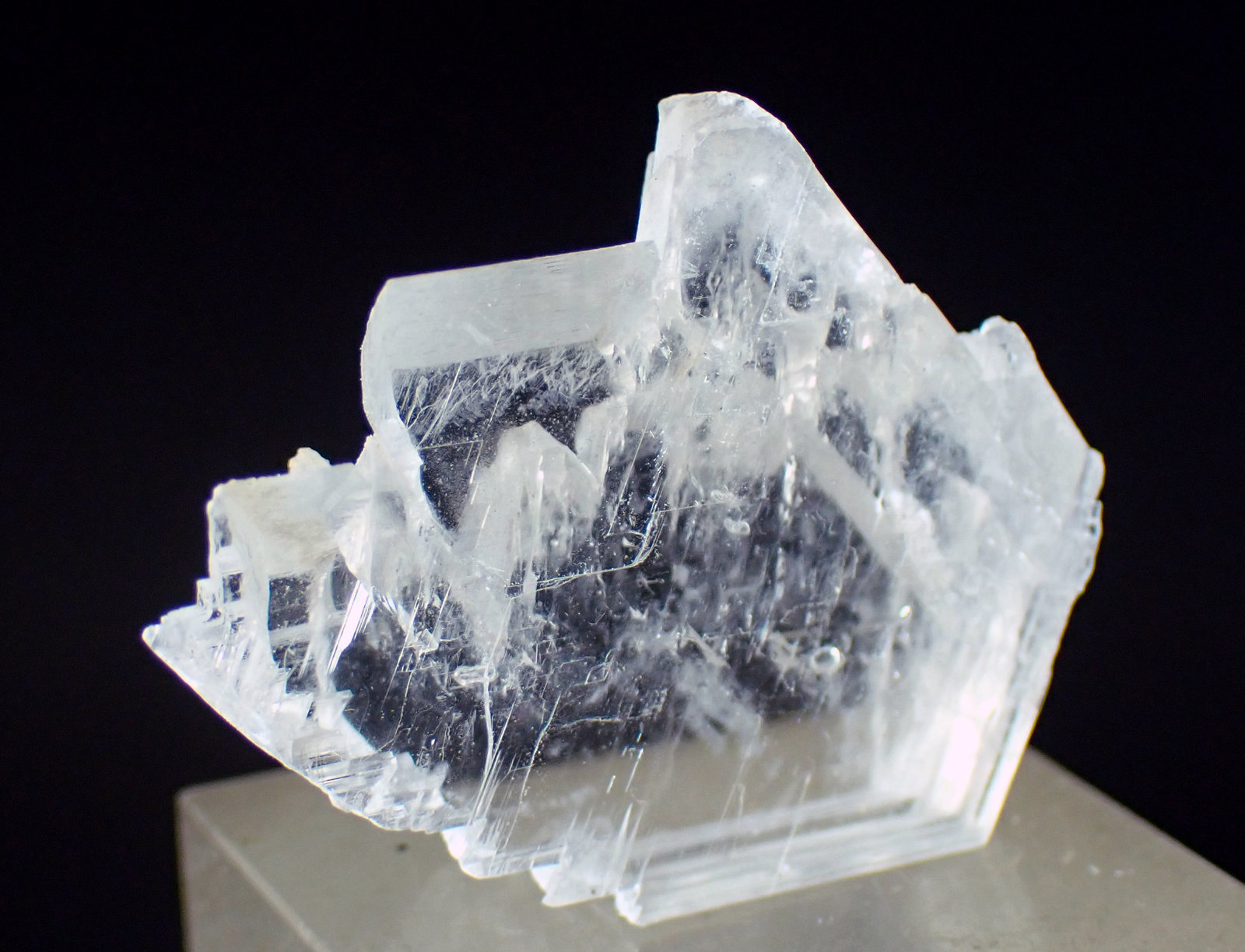 Yeso
Medida: 3,5 x 2,8 x 1,0 cms
(Autor: Joan Martinez Bruguera)