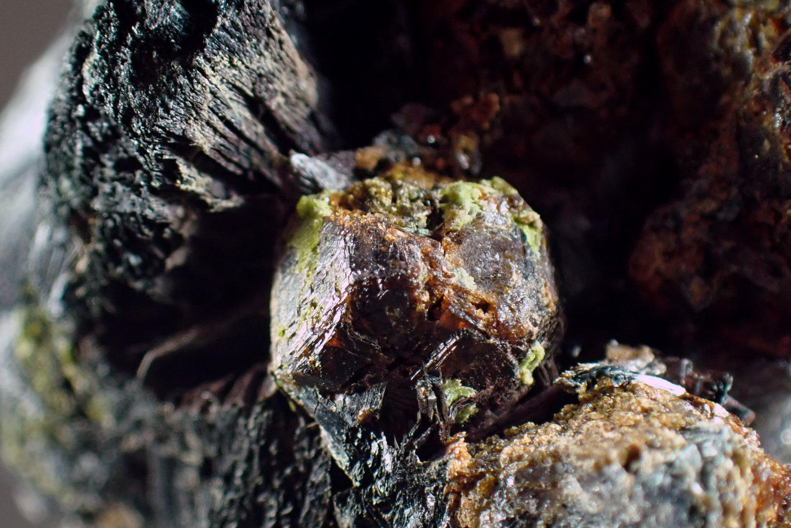 Ferropargasita, Granate y Epidota
Medida: 7,7 x 5,4 x 3,0 mm
(Autor: Joan Martinez Bruguera)