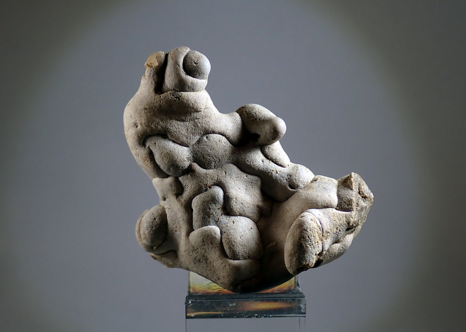 Ópalo (variedad menilito)
Medida.5,5 x 5,2 x 1,9 cms
(Autor: Joan Martinez Bruguera)