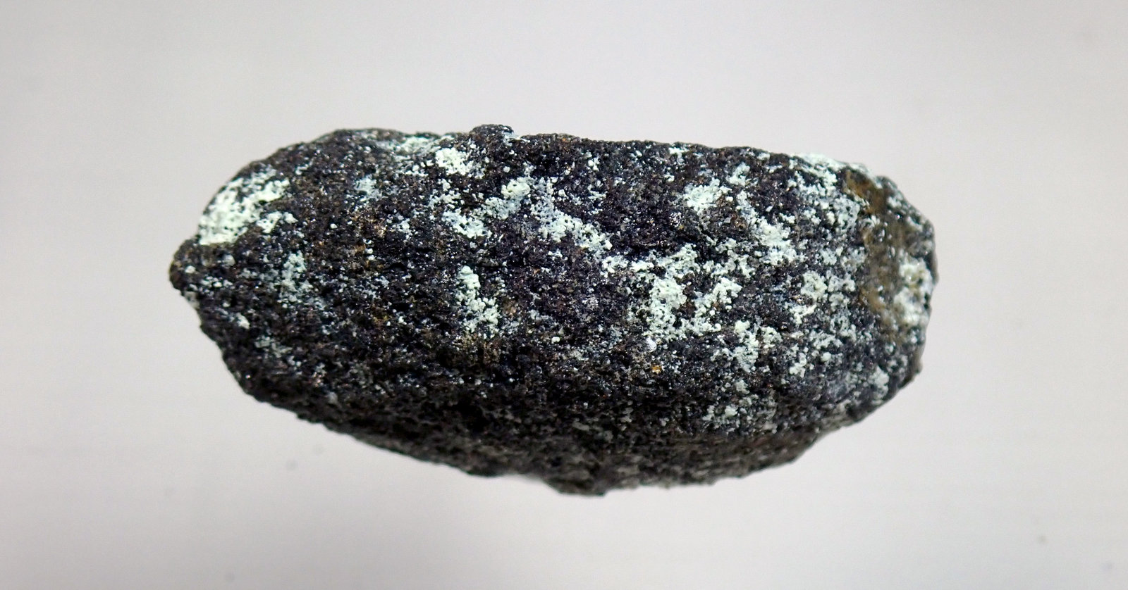 Niquelina
Medida: 3,0 x 1,5 x 1,4 cms
(Autor: Joan Martinez Bruguera)