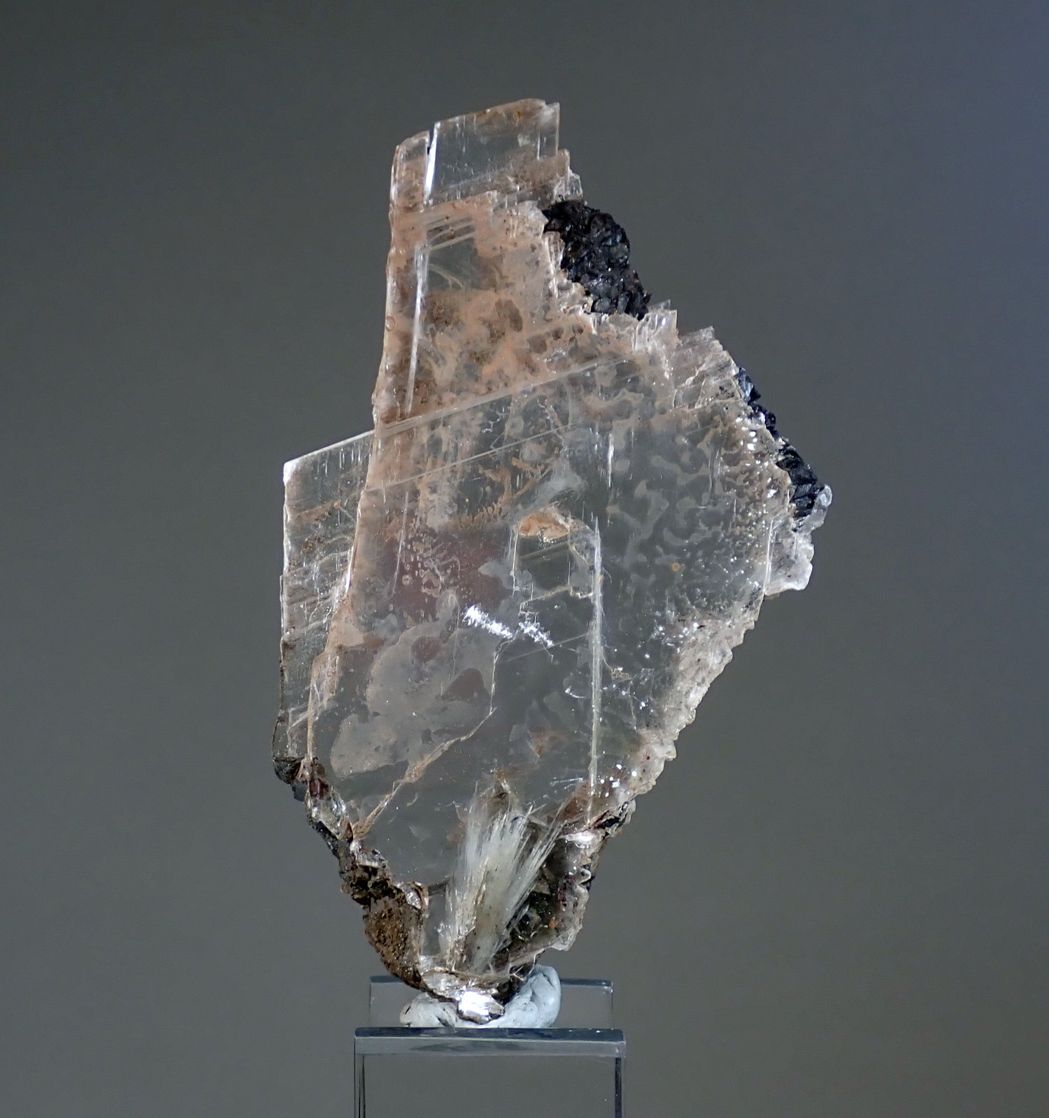 Yeso, Siderita y Celestina
Medida: 9,0 x 5,4 x 13 cms
(Autor: Joan Martinez Bruguera)