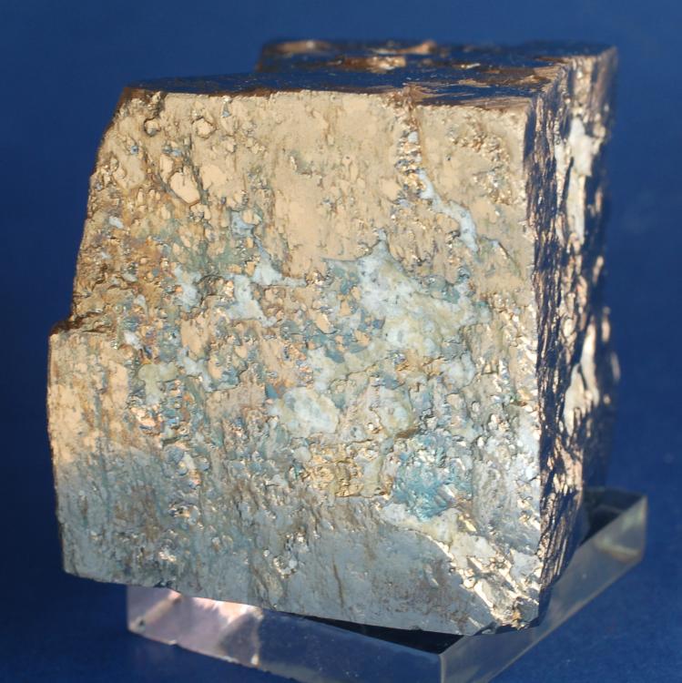 (Autor: Joan Martinez Bruguera)