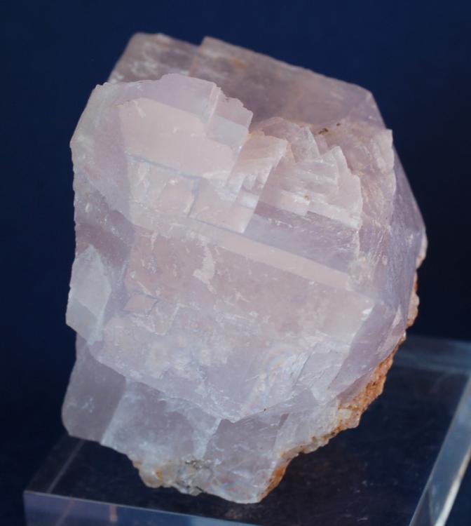 (Autor: Joan Martinez Bruguera)