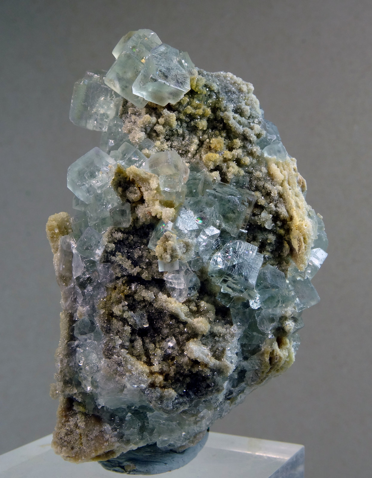 Fluorita
Medida: 6,0 x 4,0 x 2,0 cms
(Autor: Joan Martinez Bruguera)
