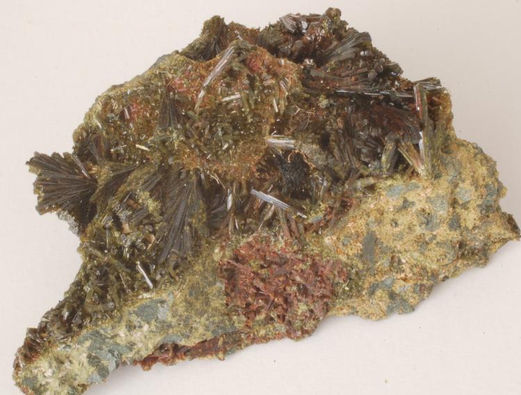 (Autor: Joan Martinez Bruguera)