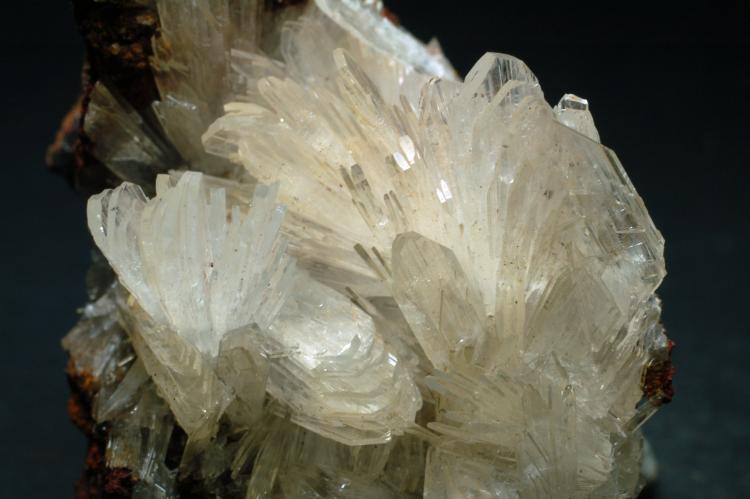 (Autor: Joan Martinez Bruguera)