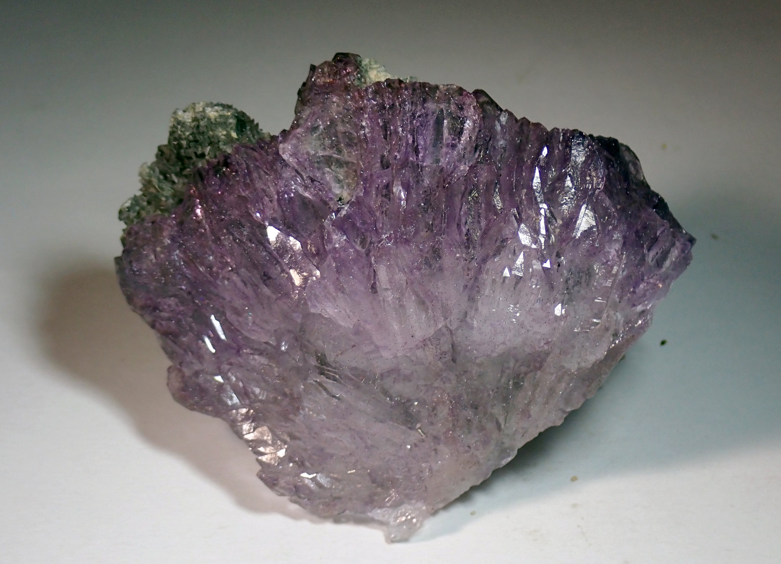 Cuarzo (variedad amatista), Clorita
Medida: 7,8 x 6,4 x 3,1 cms
(Autor: Joan Martinez Bruguera)