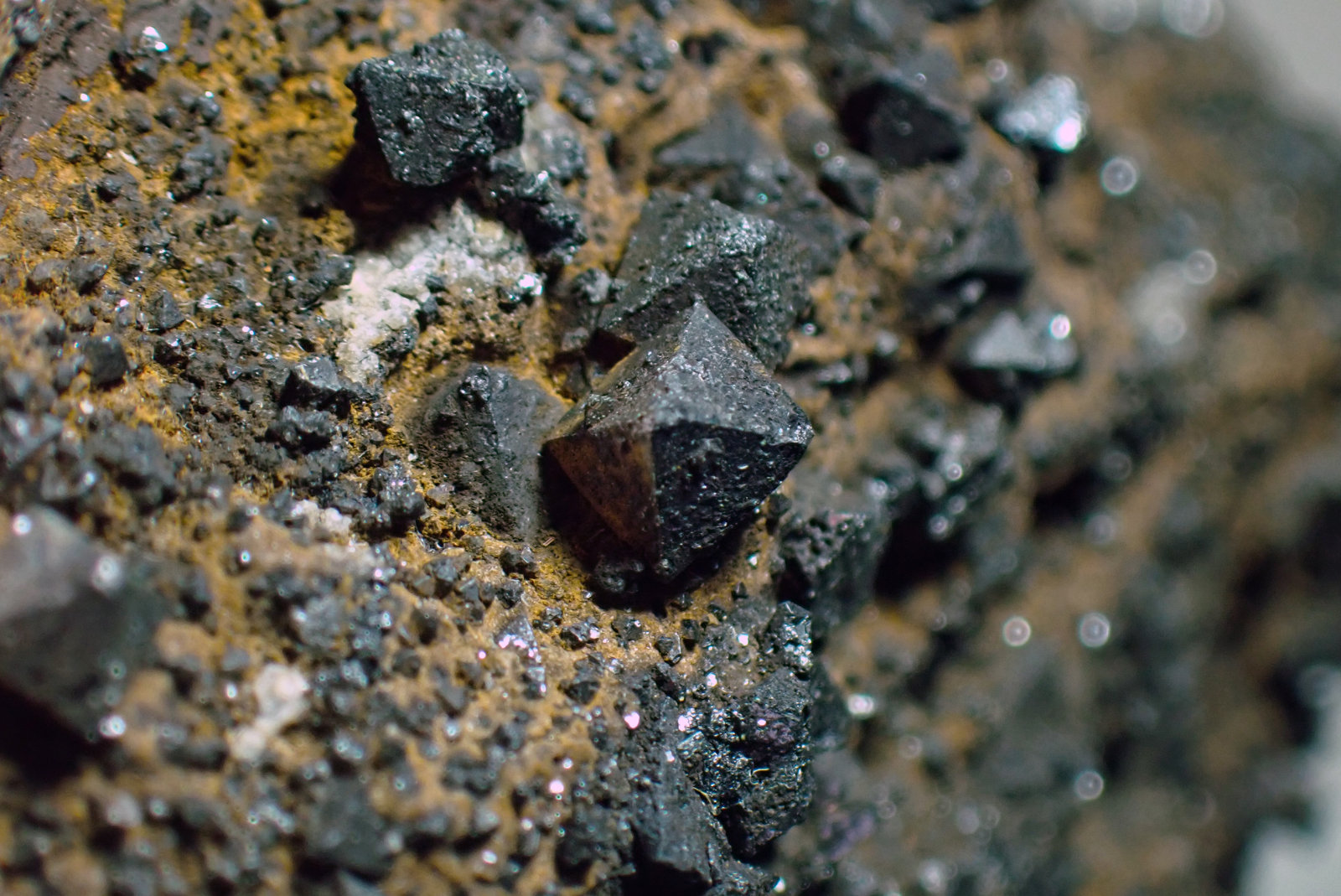 Magnetita
Medida: 9,0 x 6,1 x 3,4 cms
(Autor: Joan Martinez Bruguera)