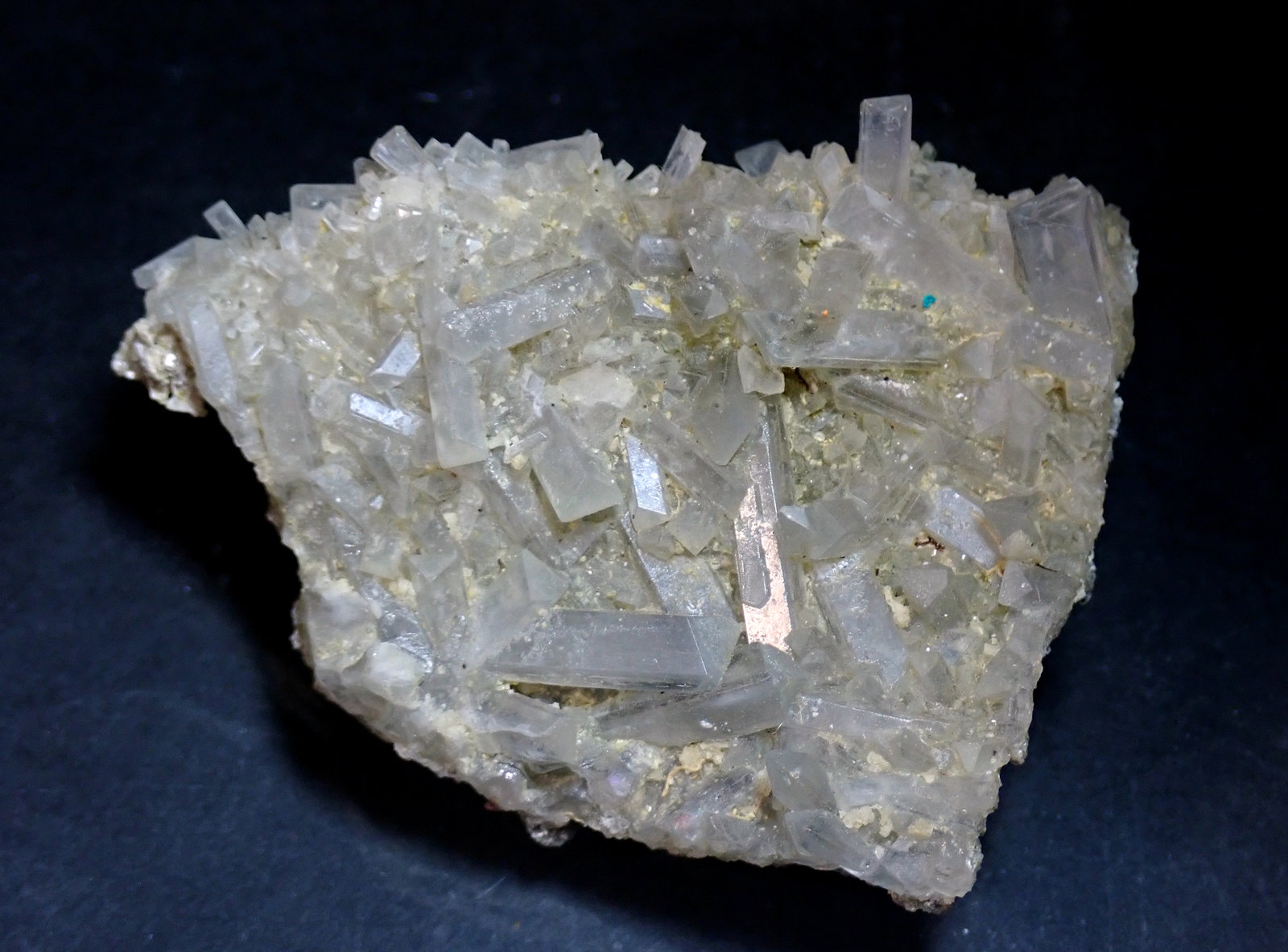 Celestina
Medida: 6.0 x 4,6 x 1,2 cms
(Autor: Joan Martinez Bruguera)