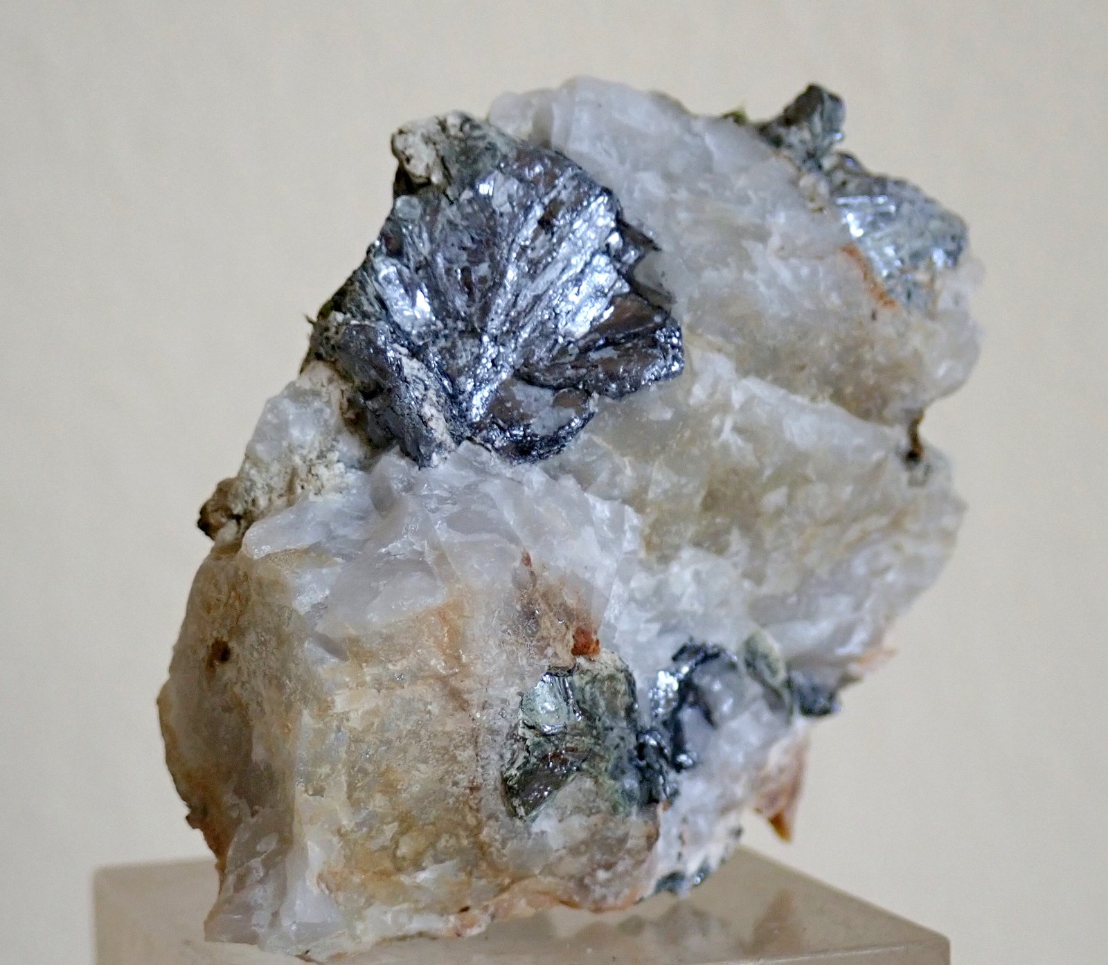 Molibdenita
Medida: 4,7 x 3,9 x 2,0 cms
(Autor: Joan Martinez Bruguera)