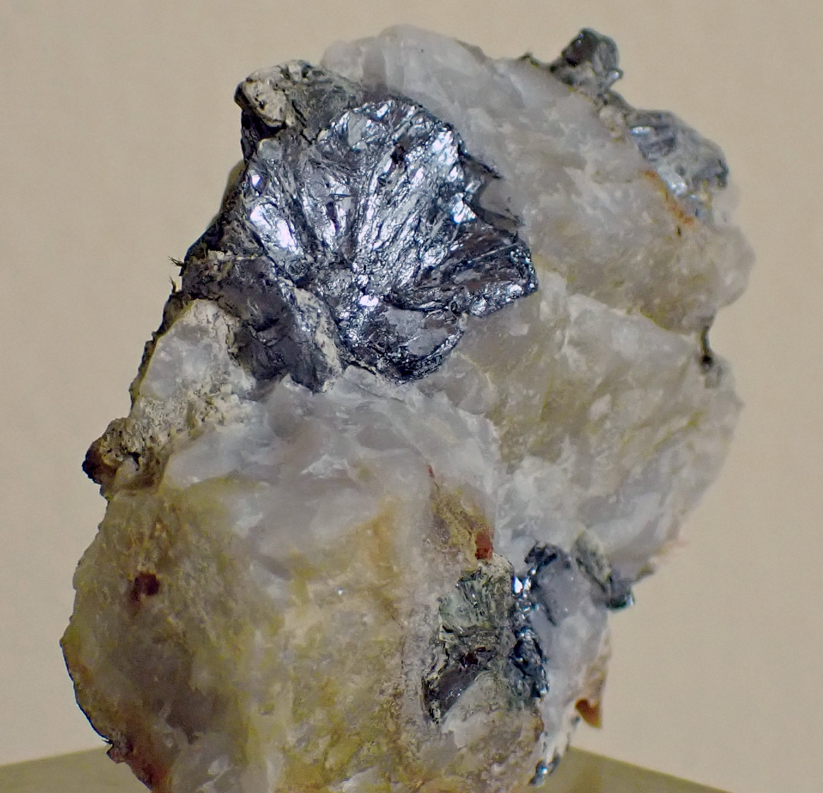 Molibdenita
Medida: 4,7 x 3,9 x 2,0 cms
(Autor: Joan Martinez Bruguera)