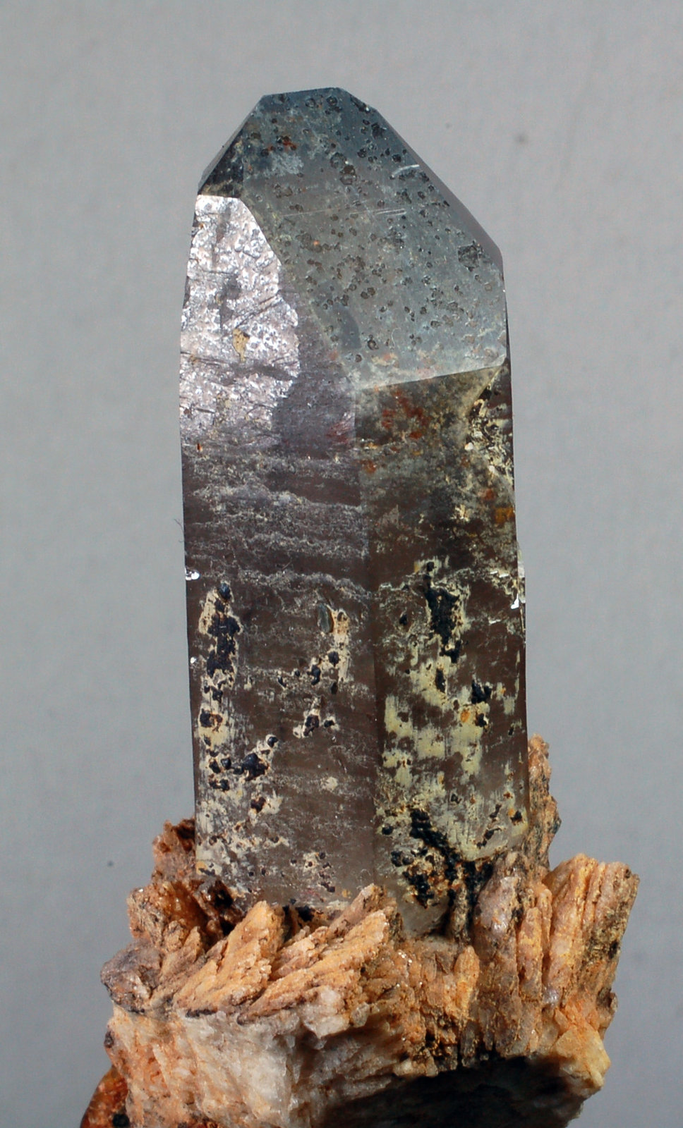 Cuarzo (variedad ahumado) y Feldespato
66 x 32 x 22 mm
(Autor: Joan Martinez Bruguera)
