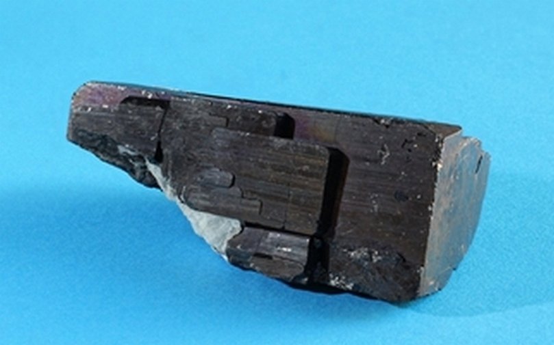 Columbita
100x40 mm
(Autor: Ramon A  Lopez Garcia)