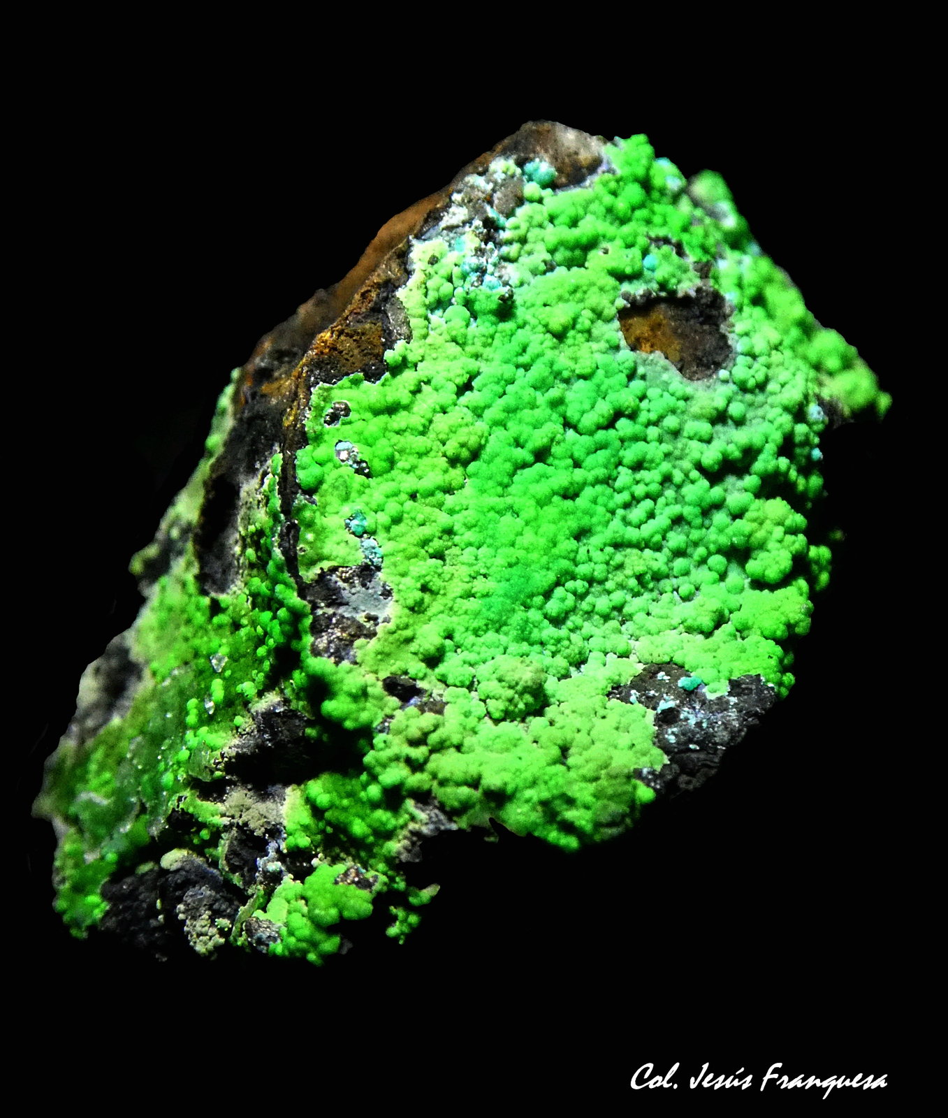 Conichalcita.
24x29 mm.
(Autor: Jesus Franquesa Baucells)