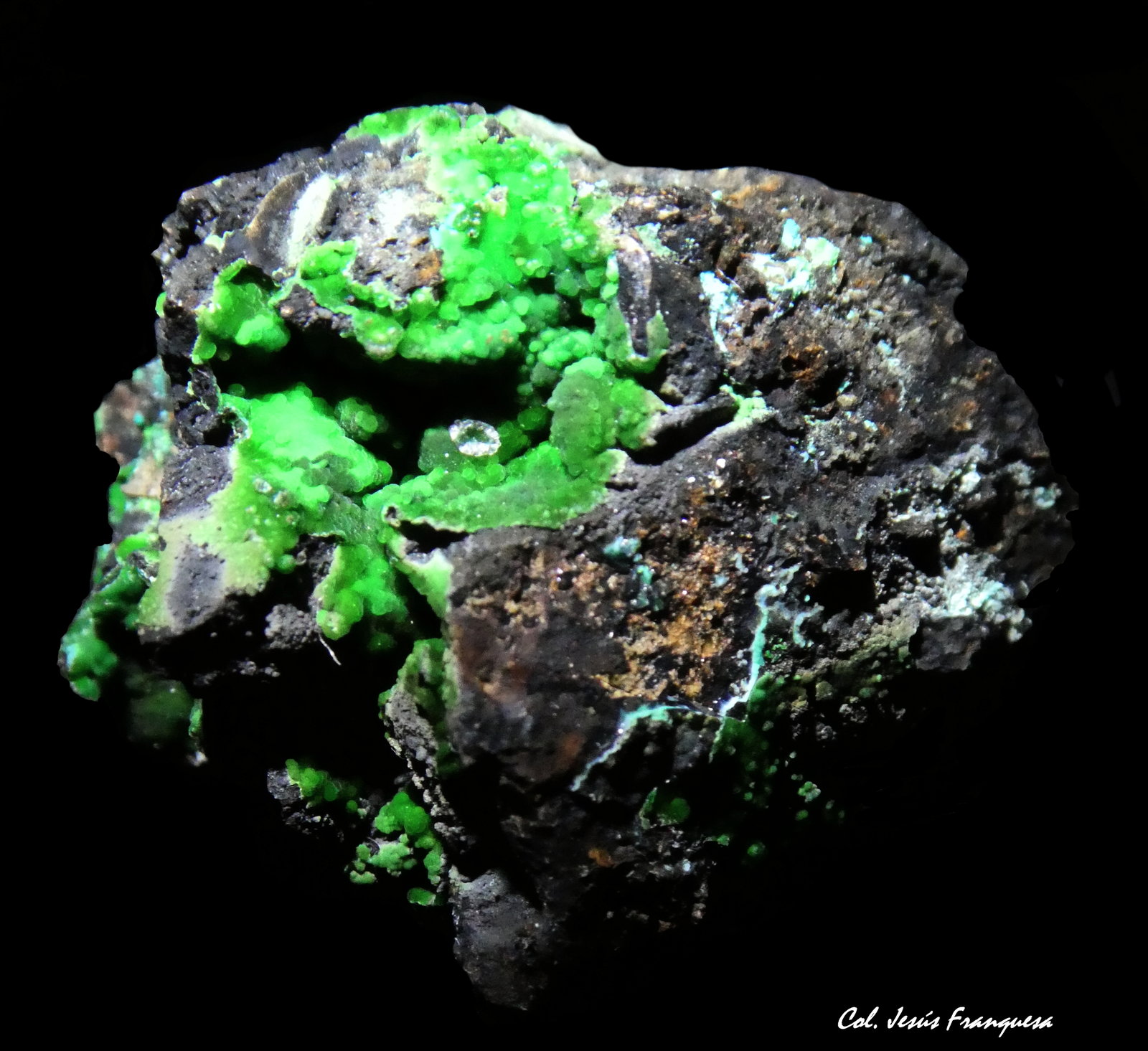 Conichalcita (Conicalcita) y Calcita.
22x18 mm.
(Autor: Jesus Franquesa Baucells)