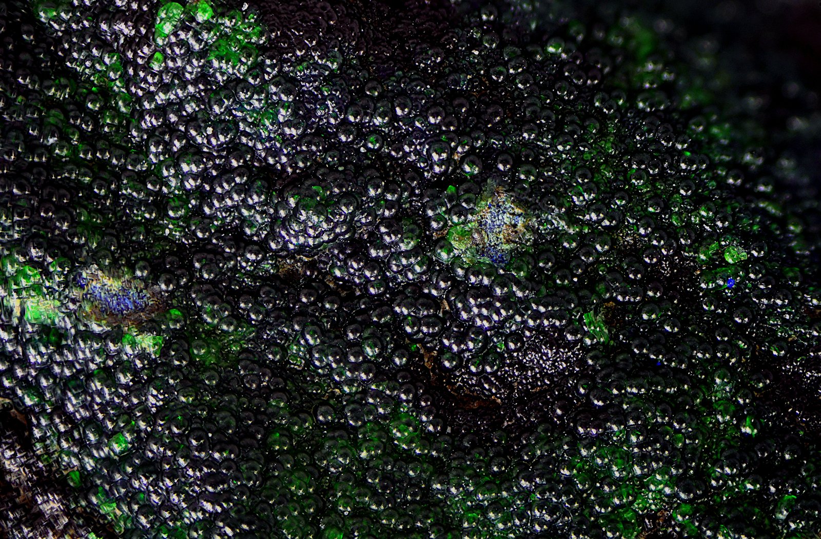 Conicalcita
Campo de visión de 5 mm.
(Autor: Antonio Carmona)