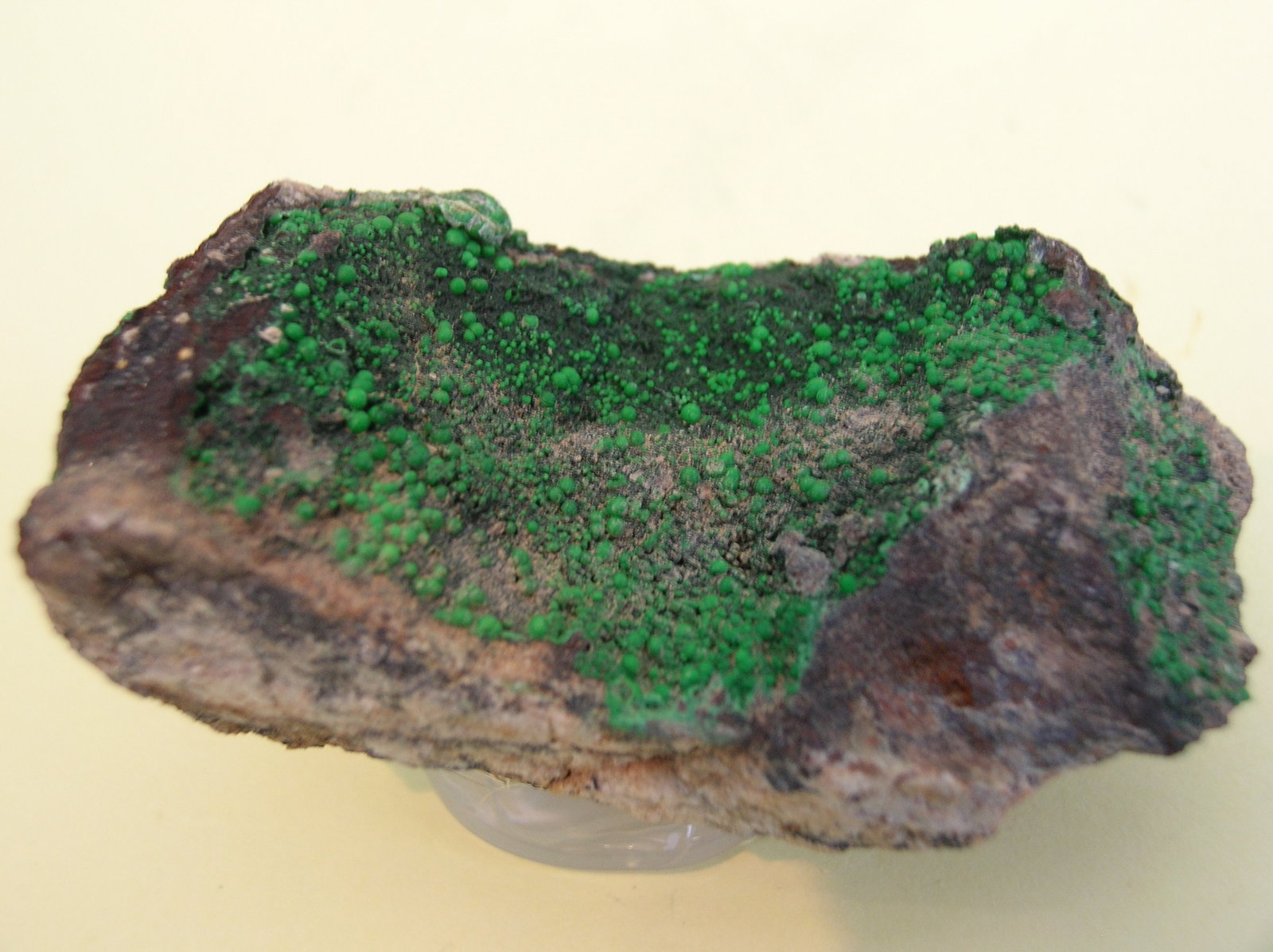 Conicalcita
5,5 x 2,5 cm
(Autor: Pedro Conesa)