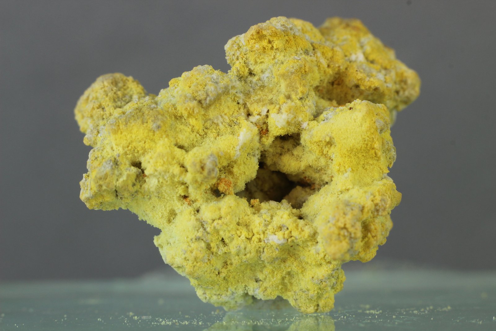 Copiapita
30x20 mm.
(Autor: Juan Espino)