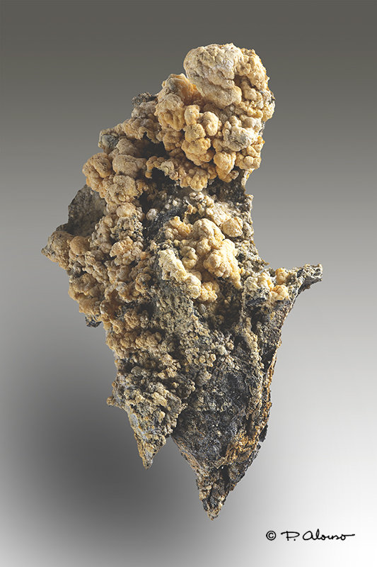 Copiapita
5cm x 6,5cm x 2,5cm
(Autor: Pere Alonso)